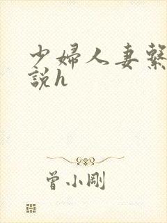 少妇人妻系列小说h封面