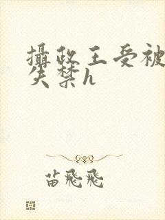摄政王受被肉到失禁h