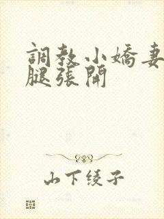 调教小娇妻h把腿张开