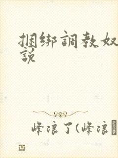 捆绑调教奴隶小说