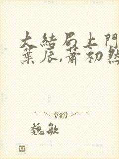 大结局上门龙婿叶辰,萧初然章节封面