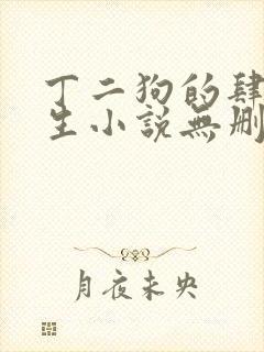丁二狗的肆意人生小说无删减