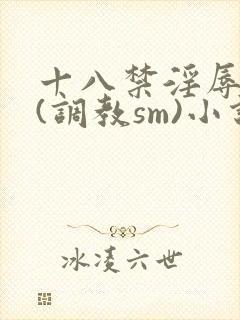 十八禁淫辱世界(调教sm)小说