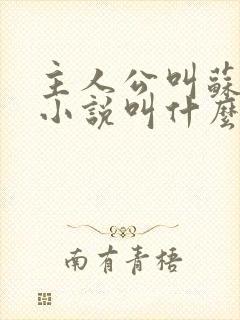 主人公叫苏柔的小说叫什么