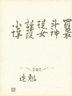 小说从斗罗开始俘获女神最新章节