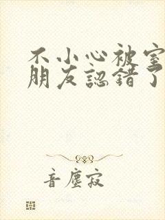 不小心被室友男朋友认错了宁笑阿温作者