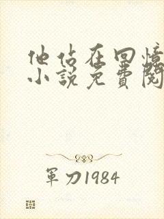 他站在回忆尽头小说免费阅读封面