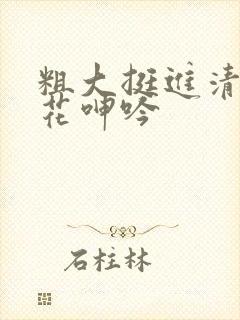 粗大挺进清纯校花呻吟封面