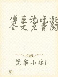 傅臣沈晚凝小说全文免费阅读封面