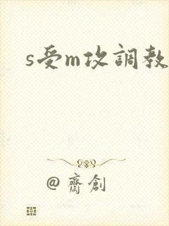 s受m攻调教文
