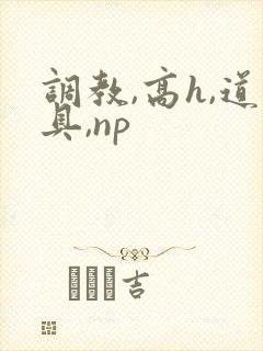 调教,高h,道具,np