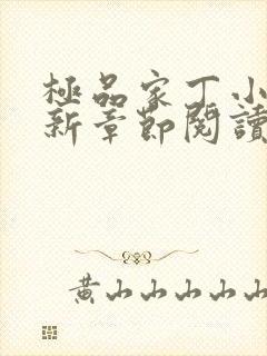 极品家丁小说最新章节阅读