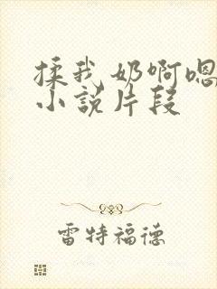 揉我奶啊嗯高潮小说片段