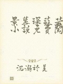 景慕琛苏若晚的小说免费阅读