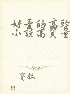 好看的高干言情小说高质量文笔好封面