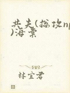 共夫(总攻np)海棠