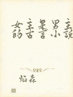 女主是男主下属的古言小说