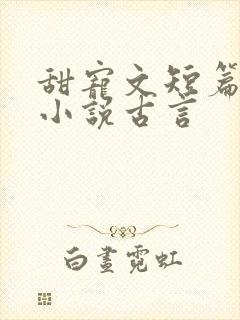 甜宠文短篇完结小说古言