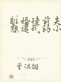 离婚后前夫总是想追我的小说