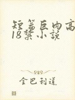 短篇巨肉高h文18禁小说