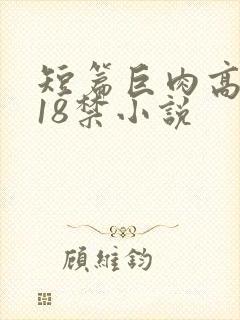 短篇巨肉高h文18禁小说
