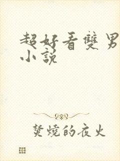 超好看双男主的小说