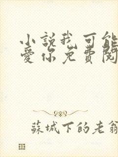 小说我可能不会爱你免费阅读封面