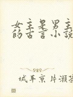 女主是男主皇姐的古言小说封面