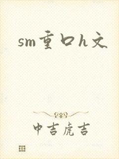 sm重口h文