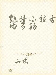 艳情小说古言肉肉多的