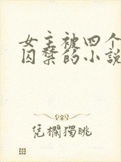 女主被四个病娇囚禁的小说
