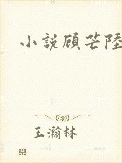 小说顾芒陆承洲封面