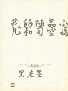 我的极品小姨叶凡和司空嫣的小说封面