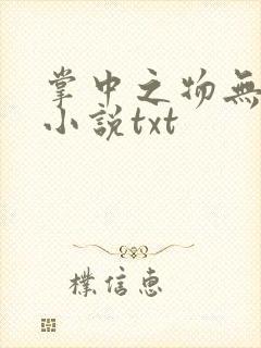 掌中之物无删减小说txt