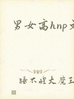 男女高hnp文
