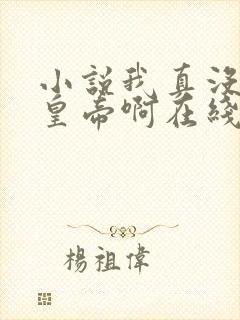 小说我真没想当皇帝啊在线阅读