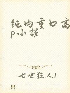 纯肉重口高辣np小说