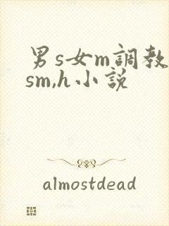 男s女m调教(sm,h小说封面