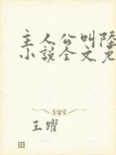 主人公叫陆沉的小说全文免费阅读封面