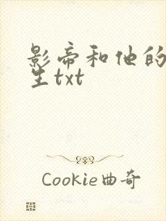 影帝和他的傅先生txt