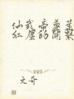 仙武帝尊叶辰和红尘的关系