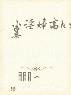 小淫妇高h文黄暴封面