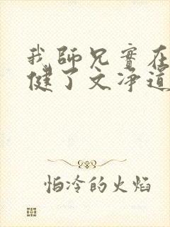 我师兄实在太稳健了文净道人结局封面