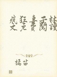 疯狂妻子林瑶全文免费阅读封面