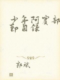 少年阿宾部分章节目录