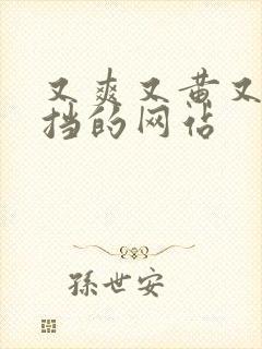 又爽又黄又无遮挡的网站