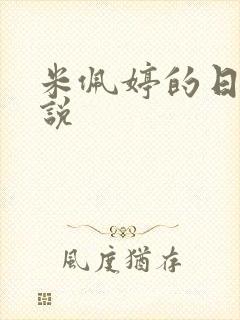 米佩婷的日记小说封面