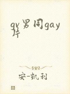 gv男同gay片