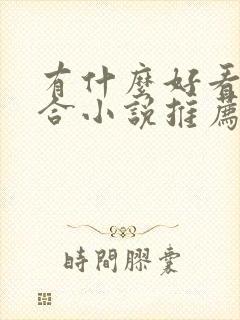 有什么好看的百合小说推荐封面