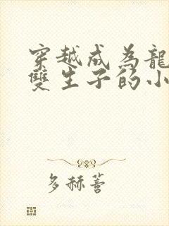 穿越成为龙皓晨双生子的小说